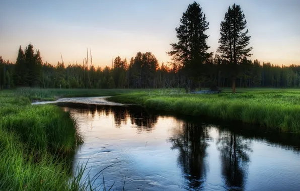 Picture Sunset, The sky, Water, The evening, Grass, Trees, River, Forest