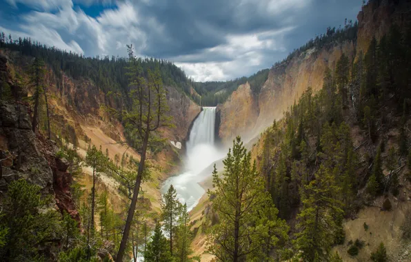 Picture forest, rock, waterfall, Wyoming, Lower Falls, USА, Canyon Junction, yellowstone national park