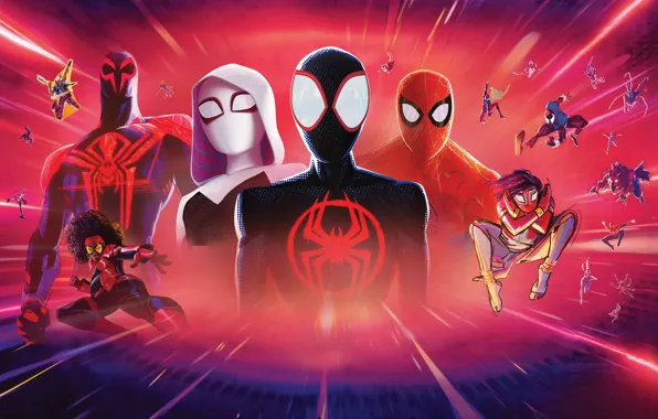 Across The Spider Verse Wallpaper in 2023