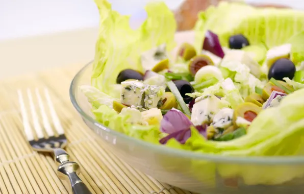 Greens, food, plate, plug, vegetables, olives, salad, useful