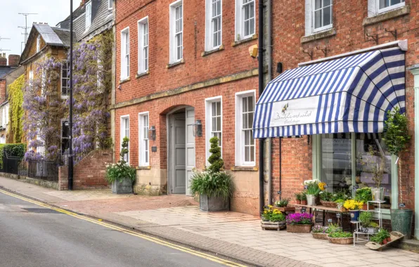Picture flowers, street, England, home, England, Shipston on Stour