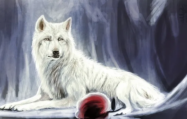 Picture white, red, wolf, Apple, art, lying