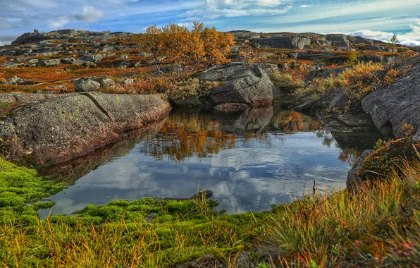 Autumn, grass, lake, stones, hills, tree