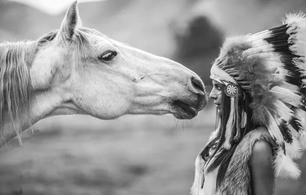 Picture girl, horse, horse, feathers, black and white, headdress