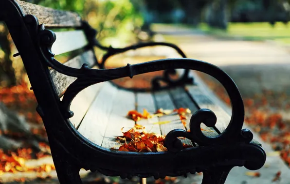 Picture autumn, leaves, bench, nature, Park