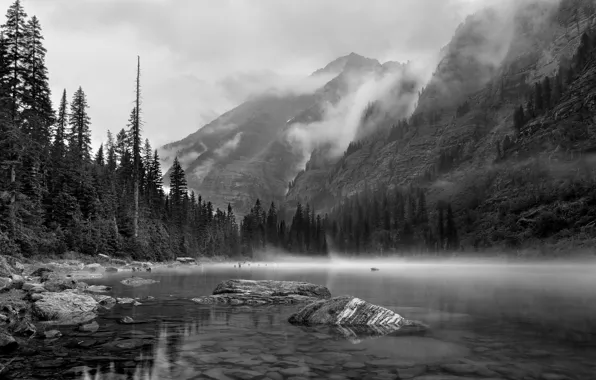 Picture trees, mountains, nature, lake, rocks, black and white, monochrome