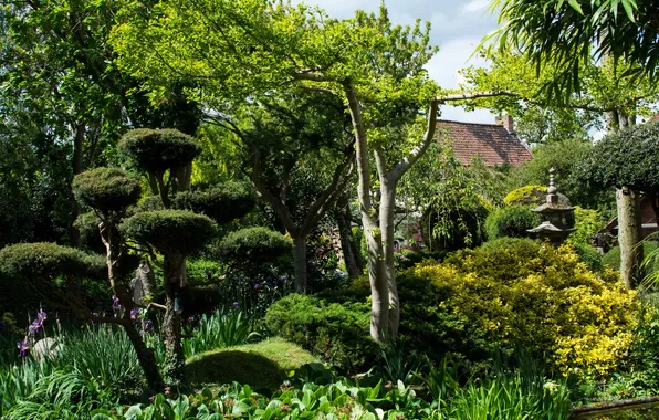 Picture greens, grass, trees, garden, the bushes