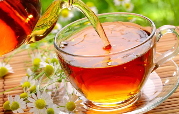 Picture glass, flowers, tea, chamomile, Cup, saucer, Mat