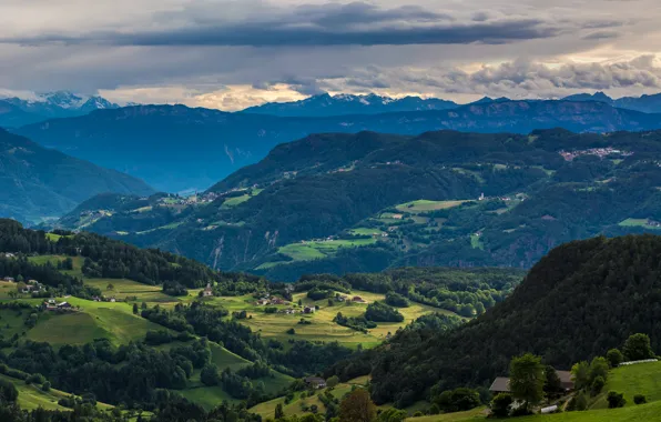 Picture field, forest, trees, mountains, Italy, panorama, house, Rode