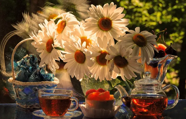 Picture summer, flowers, photo, holiday, tea, chamomile, candy, cake