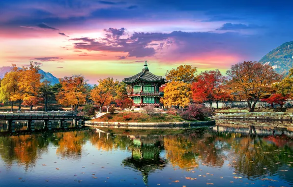 Autumn, pagoda, pond, South Korea