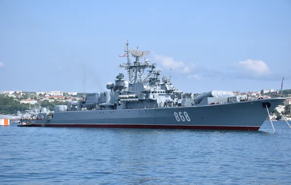 Ship, Sevastopol, guard, project 1135m, inquisitive