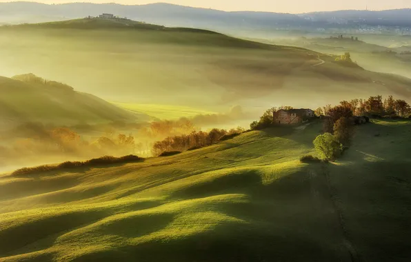 Light, field, morning, Italy, haze, Tuscany