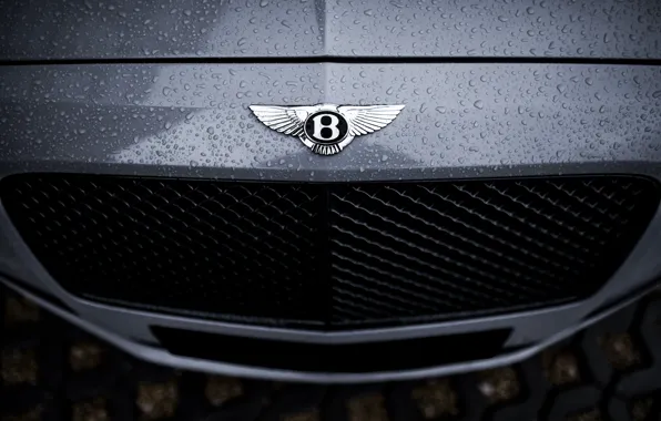 Picture Bentley, Water, Rain, Gray, VAG, Drops, Flying spur