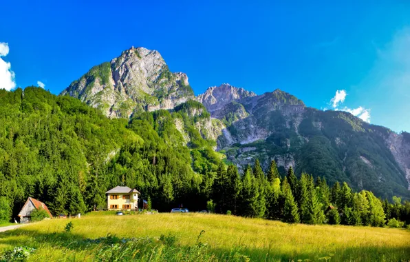 Picture nature, Mountains, houses, Switzerland, Bovec