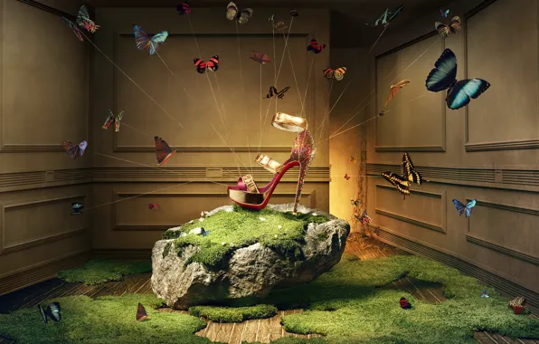 Picture grass, butterfly, lights, room, magic, stone, moss, Khuong Nguyen
