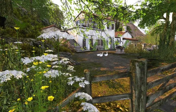 Summer, light, trees, flowers, birds, branches, house, rendering