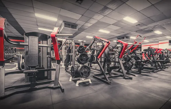 Bench, Rod, Fitness, Gym