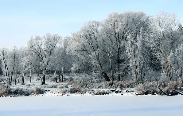 Picture ice, winter, frost, forest, snow, river, Siberia