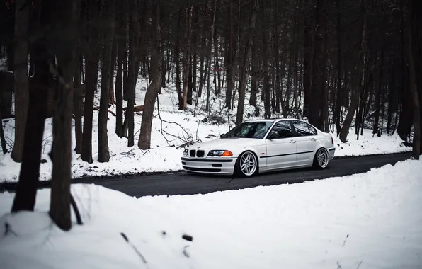 Picture winter, forest, trees, BMW, white, E46, 325i, Kielan Prince Photography
