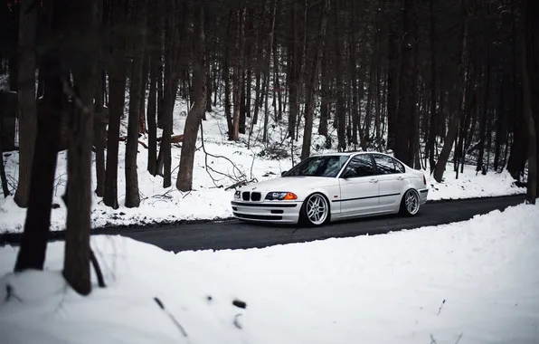 Winter, forest, trees, BMW, white, E46, 325i, Kielan Prince Photography