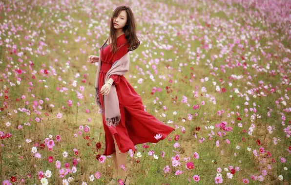 Picture summer, girl, flowers
