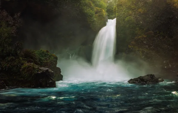 Forest, summer, water, landscape, nature, stones, rages, waterfall