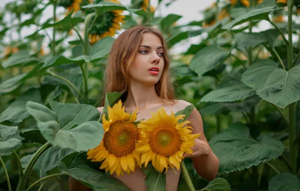 Field, girl, sunflowers, face, long hair, Oksana Gromova