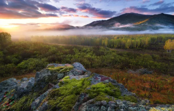 Autumn, forest, the sky, clouds, light, mountains, fog, stones