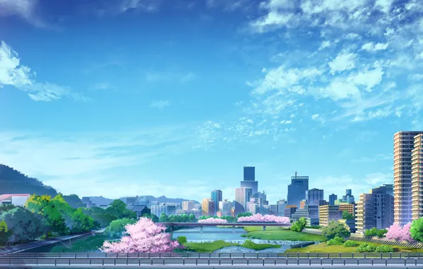 The sky, bridge, the city, river, spring, Sakura, flowering