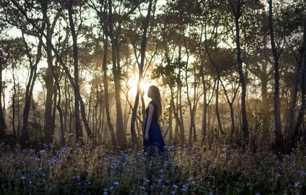 Picture forest, girl, light, morning