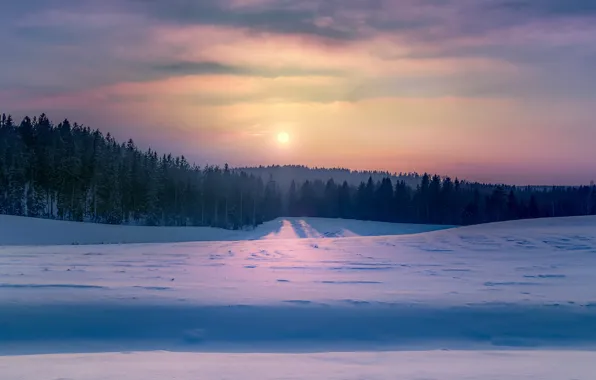 Wallpaper cold, snow, winter