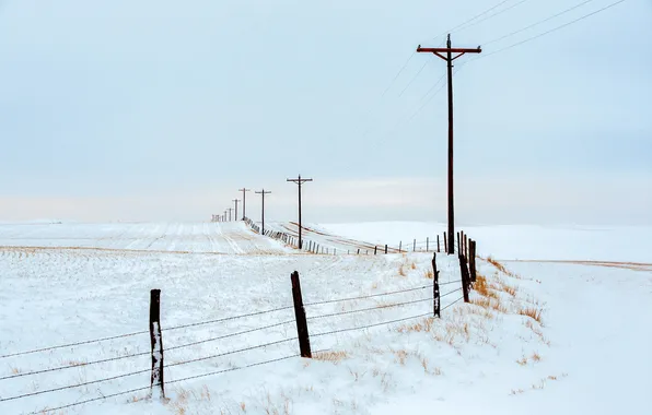 Road, field, autumn, snow, the fence