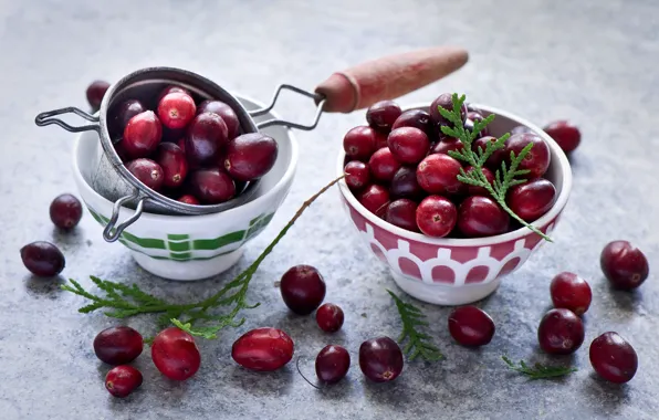 Berries, cranberry, Cranberry
