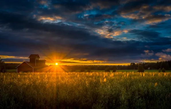 Field, the sky, sunset, the barn, Finland