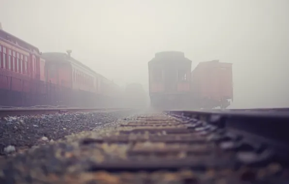 City, the city, fog, station, cars, railroad, trains, fog