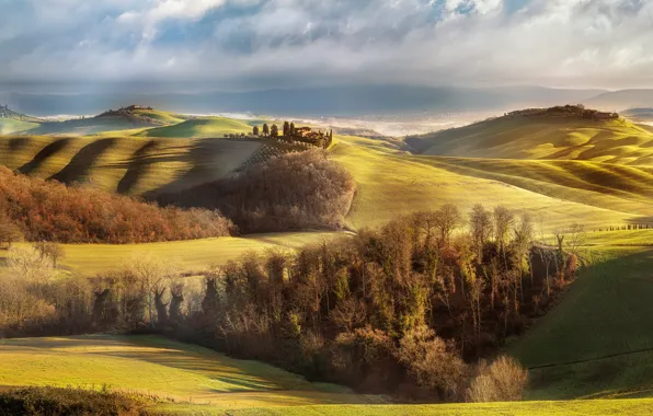 Forest, hills, field, Italy, house, Tuscany