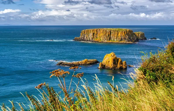 Sea, grass, clouds, stones, rocks, shore, the bushes
