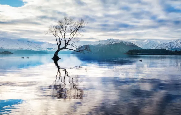 Mountains, lake, new Zealand, queenstown, lake, new zealand, Queenstown, wanaka