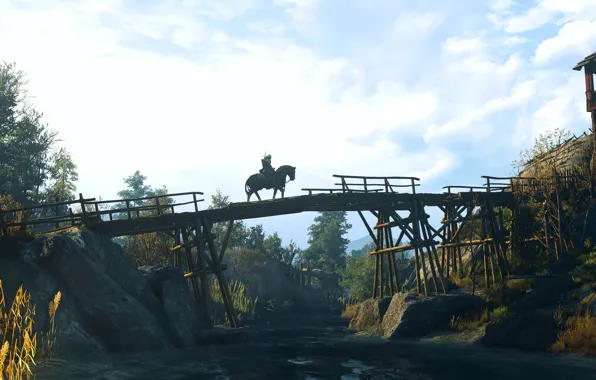 Picture bridge, The Witcher, The Witcher 3: Wild Hunt, The Witcher 3 Wild Hunt