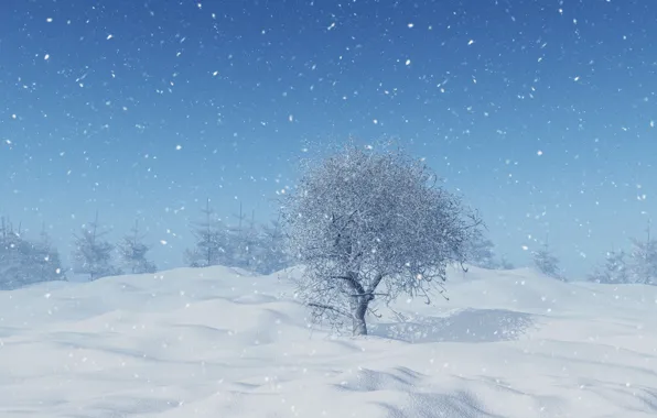 Winter, snow, trees, snowflakes, landscape, winter, snow, tree