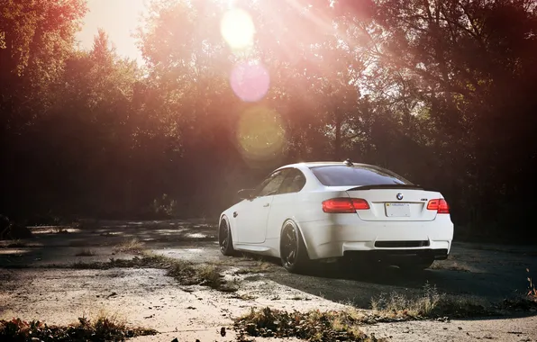 Picture white, trees, bmw, BMW, shadow, white, Blik, rear view