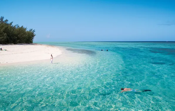 Beach, water, transparency, the ocean, white sand, Heron island