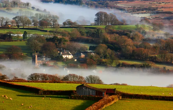 Picture winter, nature, fog, morning, Britain