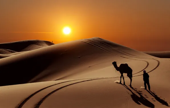 Picture the sun, the dunes, people, desert, camel