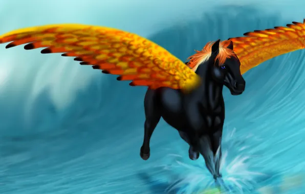 Picture look, water, squirt, horse, wings, art, mane, black