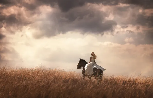 Field, girl, nature, horse, woman, horse, top, on horseback
