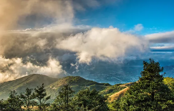 Forest, clouds, trees, mountains, Hong Kong, valley, China
