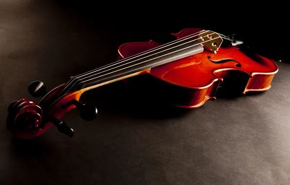 Picture the dark background, violin, strings, musical instrument