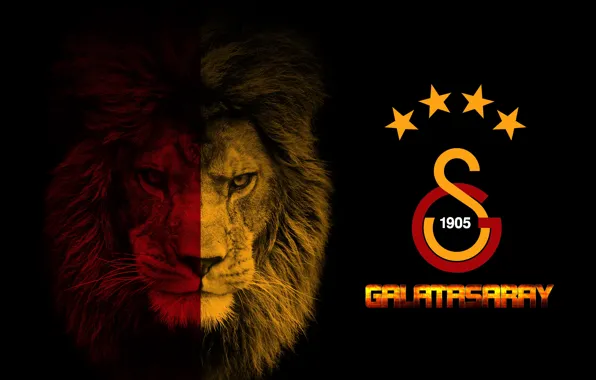 Galatasaray S.K., Soccer Wallpapers HD / Desktop and Mobile | Hd desktop,  Hd wallpapers for mobile, Football wallpaper